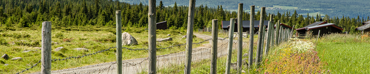 Peer Gynt vegen, Lomsetrin